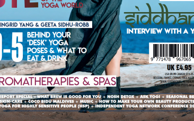 Desk Yoga – My Feature in Yoga Magazine!