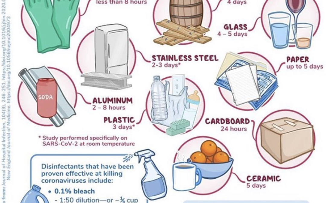 How long do Coronaviruses remain infectious on surfaces?