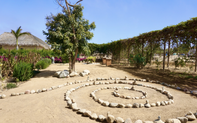 The Kriyas: A Journey through Rancho Pescadero’s Spiritual Retreat