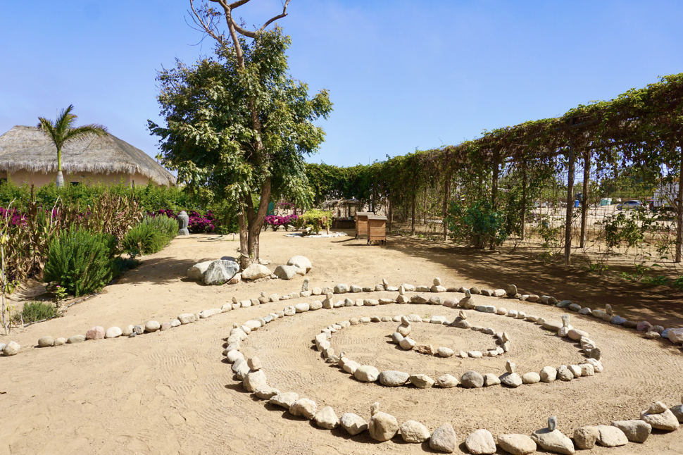 The Kriyas: A Journey through Rancho Pescadero’s Spiritual Retreat