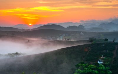 Luxury Wellness Retreat in Vietnam