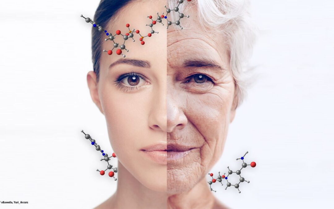 What Bryan Johnson’s Diagnosis Teaches Us About Living Longer, According to a Longevity Doctor